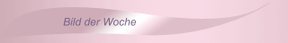 Bild der Woche
