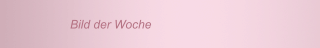 Bild der Woche